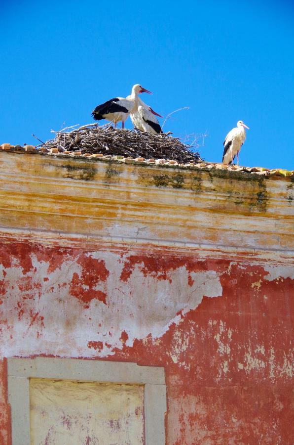 Willa Casa Margarida Azul Silves Zewnętrze zdjęcie